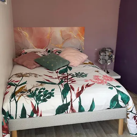 Appartement Joli Petit 2